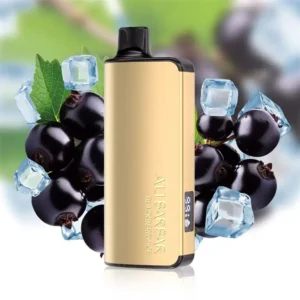 alibarbar ingot 9000 puffs – grape ice vape.webp
