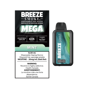 bm60 mnt 3020 fdr fdr breeze mega 30ml disposable vape 5ct mint.png