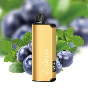 blueberry mint 0b68a00d 97e2 408a 8280 a61e5887be73.webp