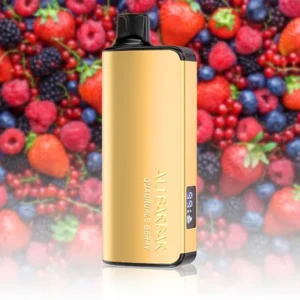 alibarbar ingot 9000 puffs quadruple berry.webp
