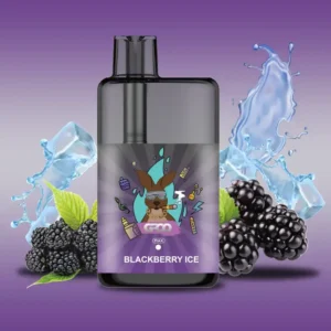 blackberry ice vape.webp