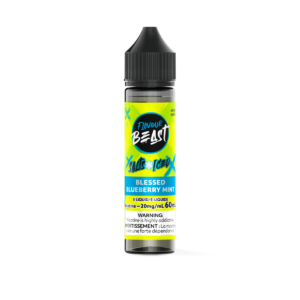 flavourbeast el 60ml jan2025 render btl 20mg blessedblueberrymint 2.webp
