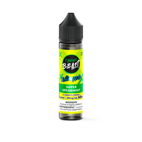 flavourbeast el 60ml oct2024 render btl 20mg superspearmint 2 1 .webp flavourbeast el 60ml oct2024 render btl 20mg superspearmint 2 1 .webp